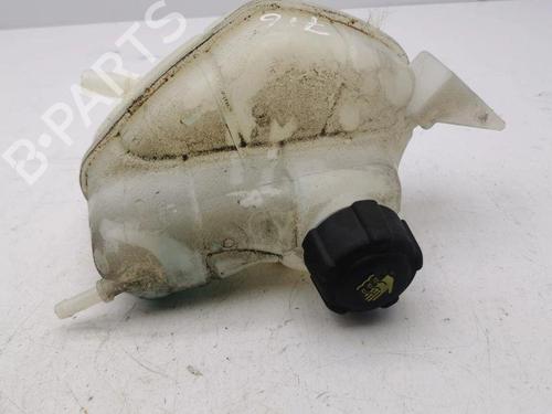Expansion tank NISSAN QASHQAI II (J11, J11_) 1.3 DIG-T | BP28897166C120 