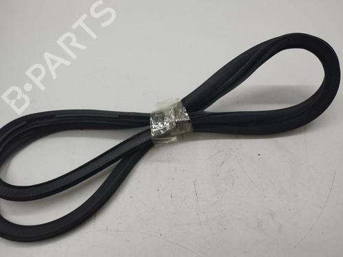 Rubber door seal BENTLEY CONTINENTAL FLYING SPUR (3W_) 6.0 | BP28898544C142 