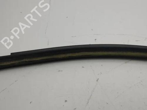 Door moulding trim RENAULT MEGANE I (BA0/1_) 1.4 e (BA0E, BA0V) | BP28861602C150 