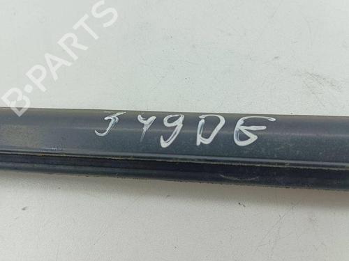 Door moulding trim NISSAN X-TRAIL II (T31) 2.0 dCi 4x4 | BP28890321C150 