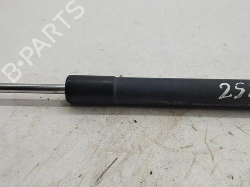 Hood lift support RENAULT CLIO IV (BH_) 1.5 dCi 90 | BP28904606C139 