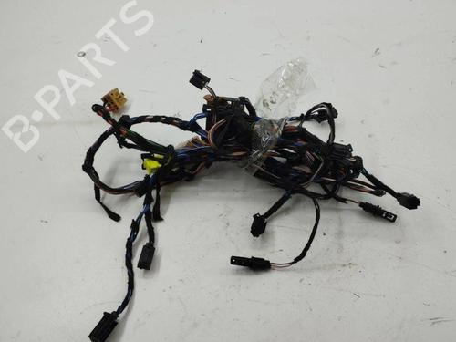 Wiring harness MASERATI QUATTROPORTE V 4.2 | BP28876837E16 