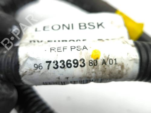Ledningsnet CITROËN DS4 (NX_) 1.6 HDi 110 | BP28871929E16 