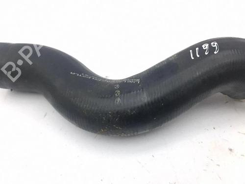 Intercooler pipe FORD KUGA III (DFK) 1.5 EcoBlue | BP38246009M127 - Image 6