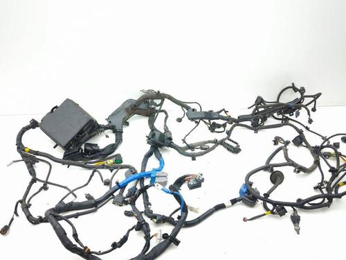 Used Wiring harness KIA SPORTAGE V (NQ5) 1.6 T-GDI (180 hp) 29042862