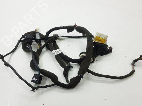 Used Wiring harness CHEVROLET CAPTIVA (C100, C140) 2.0 D 4WD (150 hp) 28886225