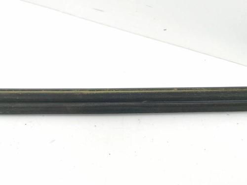 Door moulding trim TESLA MODEL 3 (5YJ3) EV | BP28901358C150 