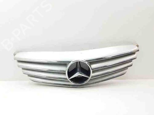 Gitter für MERCEDES-BENZ B-CLASS Sports Tourer (W245) B 180 CDI (245.207) (109 hp) 28869319