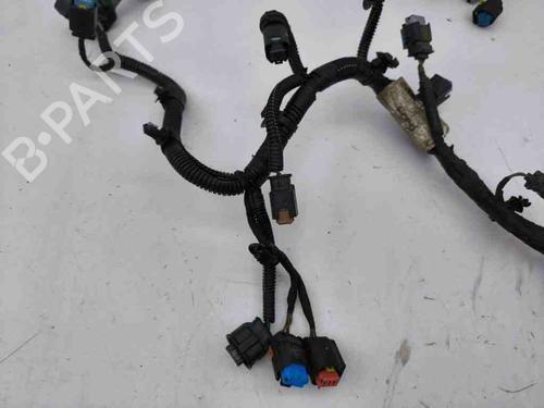 Wiring harness FORD GALAXY III (CK) 2.0 TDCi | BP28901292E16 