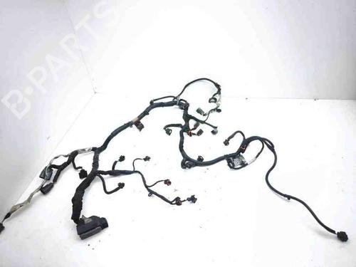 Used Wiring harness CHRYSLER GRAND VOYAGER V (RT) 2.8 CRD (163 hp) 28899560