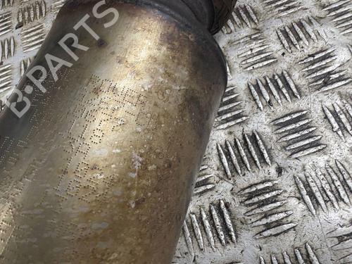 Catalyst LAND ROVER RANGE ROVER EVOQUE (L538) 2.2 D 4x4 | BP30107502M10