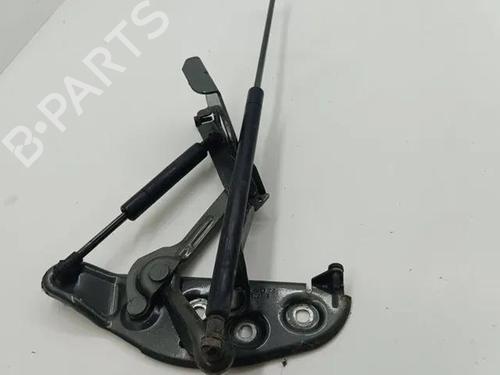 Hinge/Door check strap BENTLEY FLYING SPUR (4W_) 6.0 W12 | BP28859405C146 