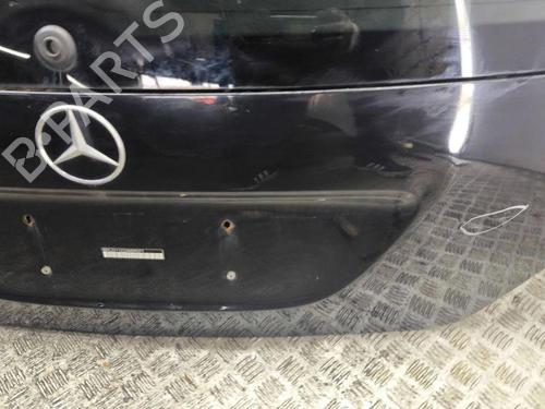 Tailgate MERCEDES-BENZ R-CLASS (W251, V251) R 320 CDI 4-matic (251.022, 251.122) | BP28889143C6 