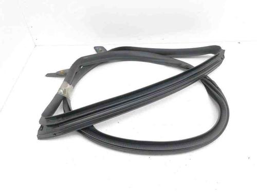 Gummiliste TESLA MODEL 3 (5YJ3) EV | BP28901355C142 