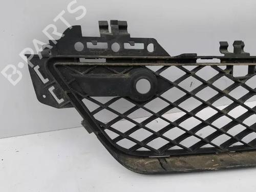 Grille MERCEDES-BENZ VITO / MIXTO Van (W639) 109 CDI (639.601, 639.603, 639.605) | BP28861229C40 