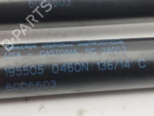 Hood lift support TESLA MODEL S (5YJS) 60 | BP28900766C139 