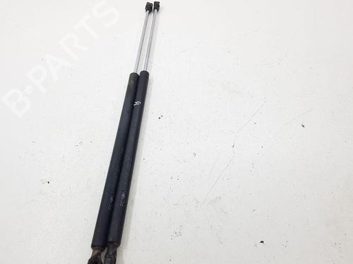 Tailgate lift support PEUGEOT 807 (EB_) 2.2 HDi | BP28892122C138 