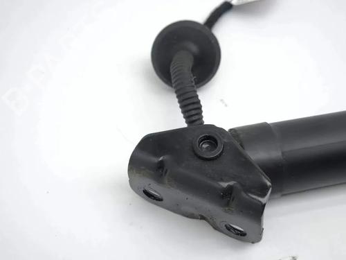 Tailgate lift support FORD KUGA II (DM2) 1.6 EcoBoost | BP36191878C138 - Image 9