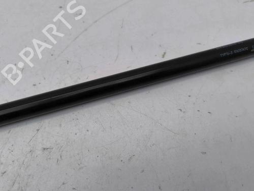 Hood lift support AUDI A3 Sportback (8VA, 8VF) 1.0 TFSI | BP28899991C139 