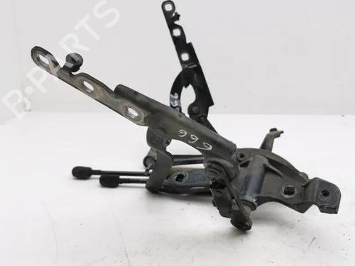 Hinge/Door check strap MERCEDES-BENZ S-CLASS (W221, V221) S 320 CDI (221.022, 221.122) | BP28853915C146 