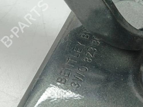 Hinge/Door check strap BENTLEY FLYING SPUR (4W_) 6.0 W12 | BP36381983C146 - Image 5