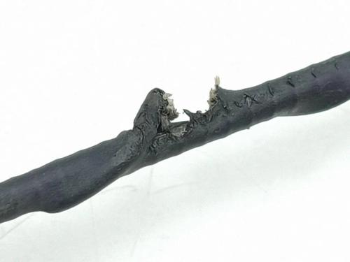 Antenne/Base RENAULT MEGANE IV Hatchback (B9A/M/N_) 1.5 dCi 110 (B9A3) | BP38501614C140 - Image 5