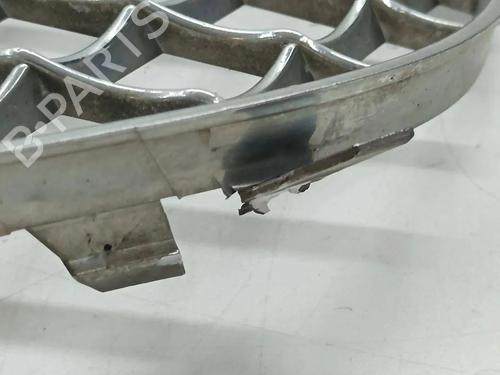 Grill BENTLEY FLYING SPUR (4W_) 6.0 W12 | BP36381865C40  - Image 5