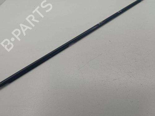 Door moulding trim BMW X5 (E70) xDrive 30 d | BP28898007C150 