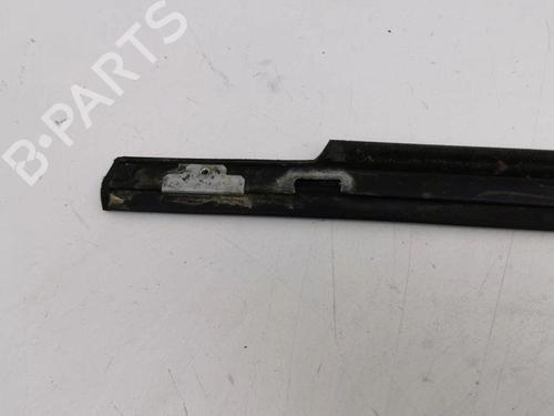 Door moulding trim MERCEDES-BENZ B-CLASS Sports Tourer (W245) B 200 TURBO (245.234) | BP28895126C150 