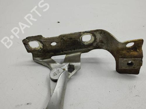 Hinge/Door check strap OPEL ZAFIRA / ZAFIRA FAMILY B (A05) 1.9 CDTI (M75) | BP28877627C146 