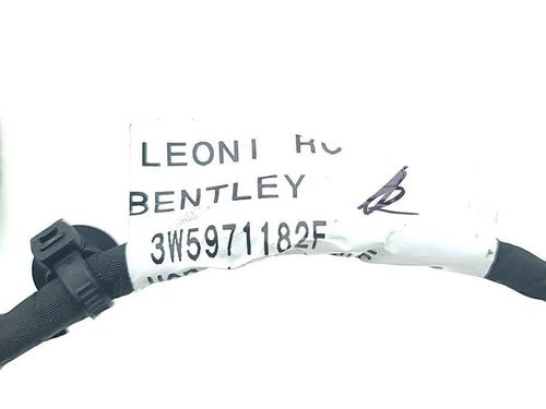 Wiring harness BENTLEY CONTINENTAL FLYING SPUR (3W_) 6.0 | BP28883426E16 