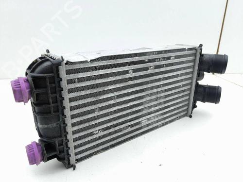 Intercooler PEUGEOT 2008 II (UD_, US_, UY_, UJ_, UR_, UC_) 1.2 PureTech 130 (USHNS, URHNS) | BP29510206M30 