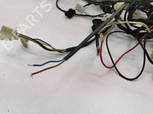 Wiring harness AIXAM CITY 0.4 | BP40209368E16 - Image 12