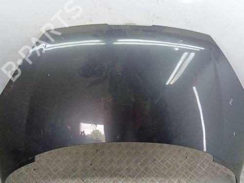 Capot PEUGEOT 807 (EB_) 2.2 HDi (128 hp) 28892148