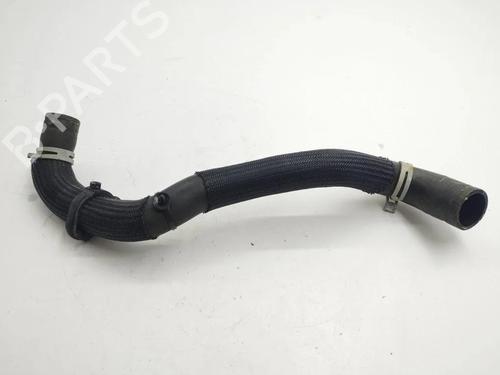 Pipe NISSAN JUKE (F16_) DIG-T 117 | BP36103122M125 - Image 4