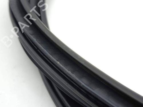 Rubber door seal MINI MINI (F56) Cooper S | BP28883794C142 