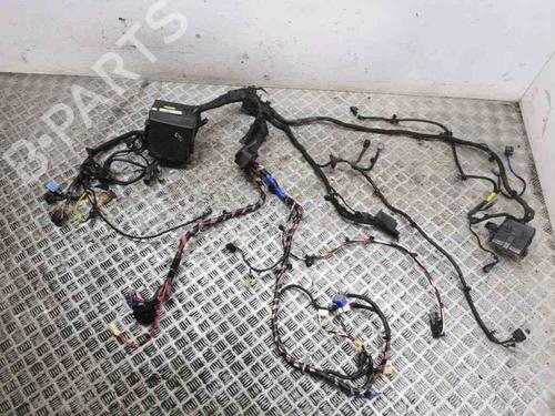 Wiring harness HYUNDAI SANTA FÉ III (DM, DMA) 2.2 CRDi 4WD | BP28901959E16 