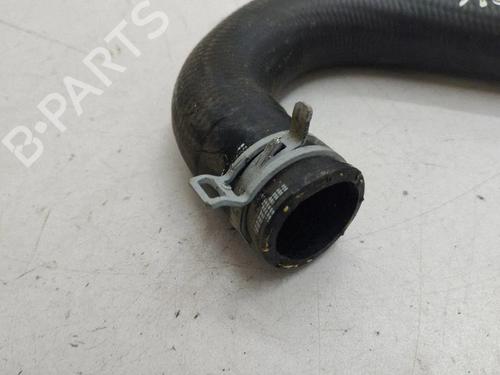 Pipe FORD FOCUS IV (HN) 1.0 EcoBoost | BP38251208M125 - Image 3