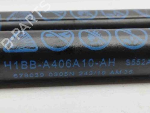 Tailgate lift support FORD FIESTA VII (HJ, HF) 1.0 EcoBoost | BP28899878C138