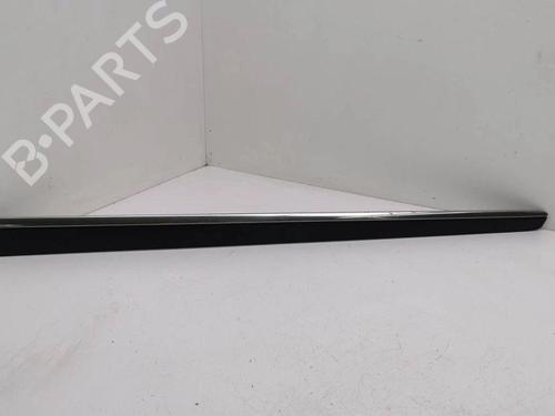 Door moulding trim MERCEDES-BENZ M-CLASS (W164) ML 320 CDI 4-matic | BP28898442C150 
