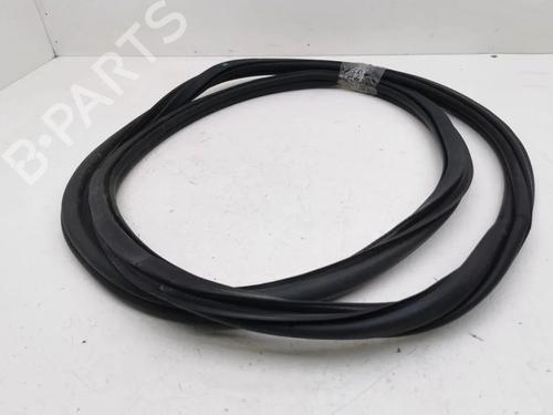 Gummiliste VW T-ROC (A11, D11) 1.0 TSI | BP36313910C142 - Image 4