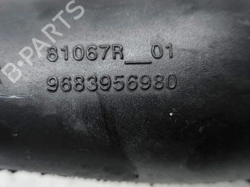 Pipe CITROËN C5 III (RD_) 3.0 HDi 240 (RDX8CA) | BP36175555M125 - Image 9