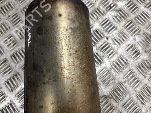 Catalyst LAND ROVER RANGE ROVER EVOQUE (L538) 2.2 D 4x4 | BP30107502M10