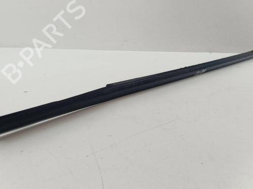 Door moulding trim NISSAN X-TRAIL II (T31) 2.0 dCi 4x4 | BP28886433C150 