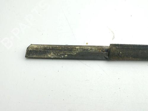 Door moulding trim BMW X5 (E53) 3.0 d | BP28890212C150 