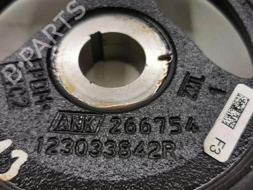 Pulley RENAULT CLIO V (B7_) 1.3 TCe 130 (B7MF) | BP38244339M122 - Image 7