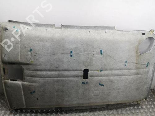 Interior roof TOYOTA RAV 4 II (_A2_) 2.0 D 4WD (CLA20_, CLA21_, CLA20R, CLA21R) | BP28866910I12 