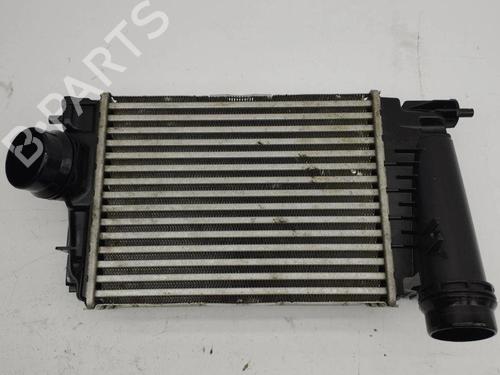 Intercooler NISSAN QASHQAI II (J11, J11_) 1.3 DIG-T (140 hp) 28897201