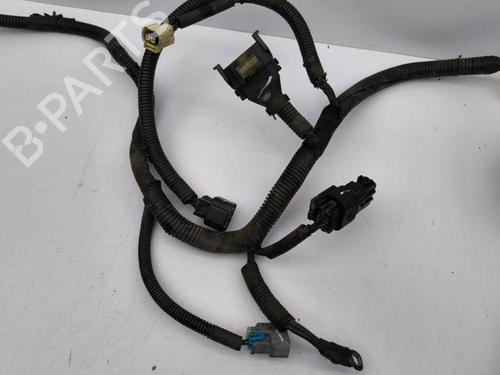 Ledningsnett OPEL ANTARA A (L07) 2.2 CDTi | BP28896044E16 