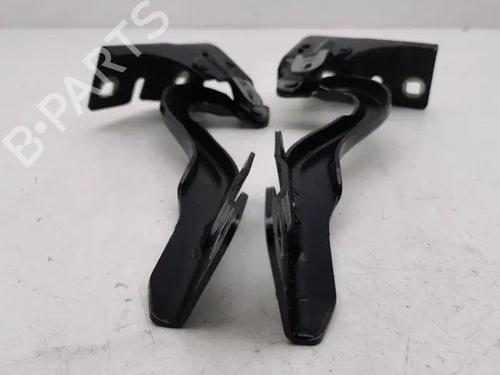 Hinge/Door check strap RENAULT MEGANE I (BA0/1_) 1.4 e (BA0E, BA0V) | BP28861677C146 
